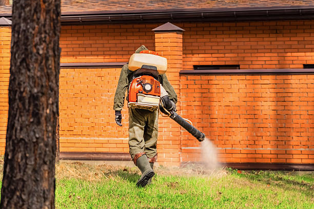 Trusted Fumigation Services service in Holden Heights, FL - Nex Pest Control